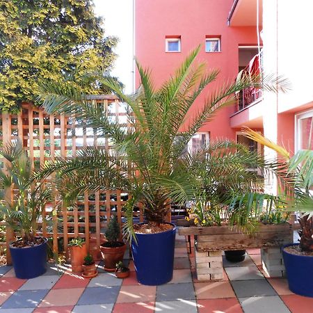 Penzión Vilka Podhájčanka Podhájska Exterior foto